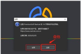 Navicat Premium15 V15.0.3 永久激活版